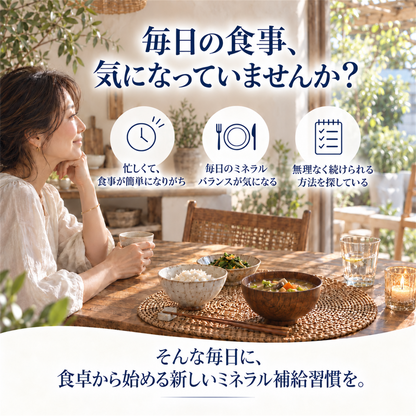 植物マグマ イノチの塩 170g｜野草・海藻由来ミネラル配合 食用塩