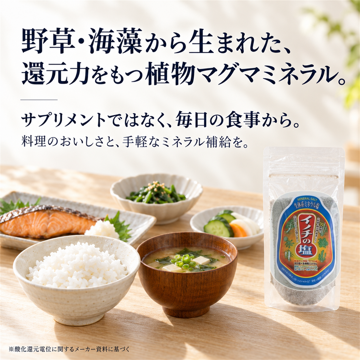 植物マグマ イノチの塩 170g｜野草・海藻由来ミネラル配合 食用塩