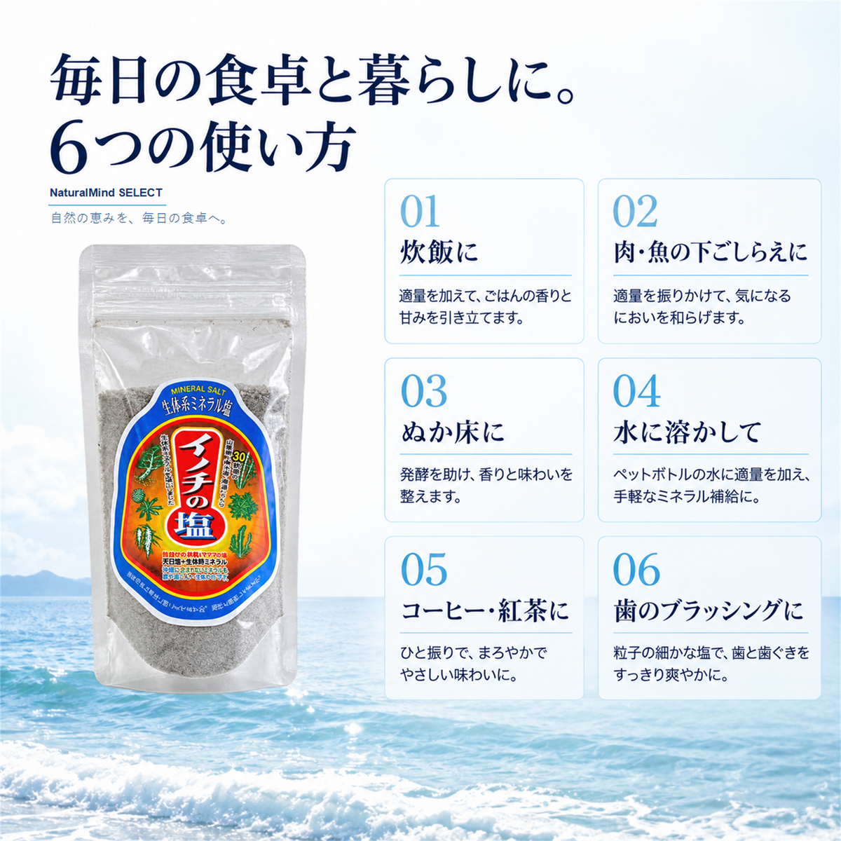 植物マグマ イノチの塩 170g｜野草・海藻由来ミネラル配合 食用塩