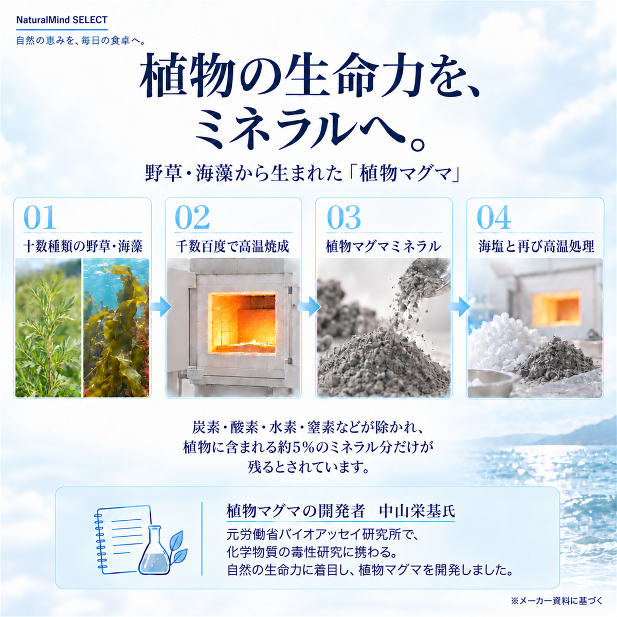 植物マグマ イノチの塩 170g｜野草・海藻由来ミネラル配合 食用塩