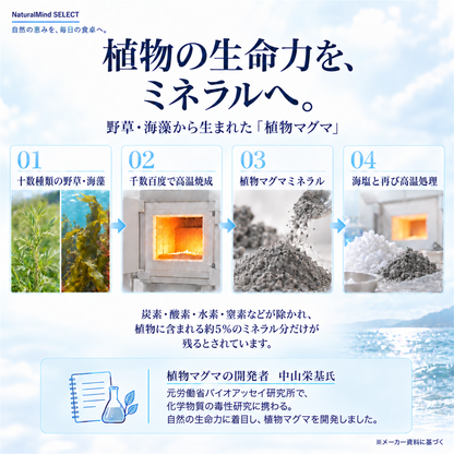 植物マグマ イノチの塩 170g｜野草・海藻由来ミネラル配合 食用塩