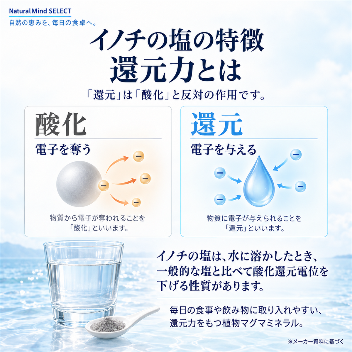 植物マグマ イノチの塩 170g｜野草・海藻由来ミネラル配合 食用塩